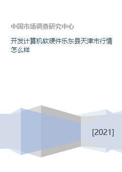天津與樂東縣計算機(jī)軟硬件研發(fā)行業(yè)行情分析